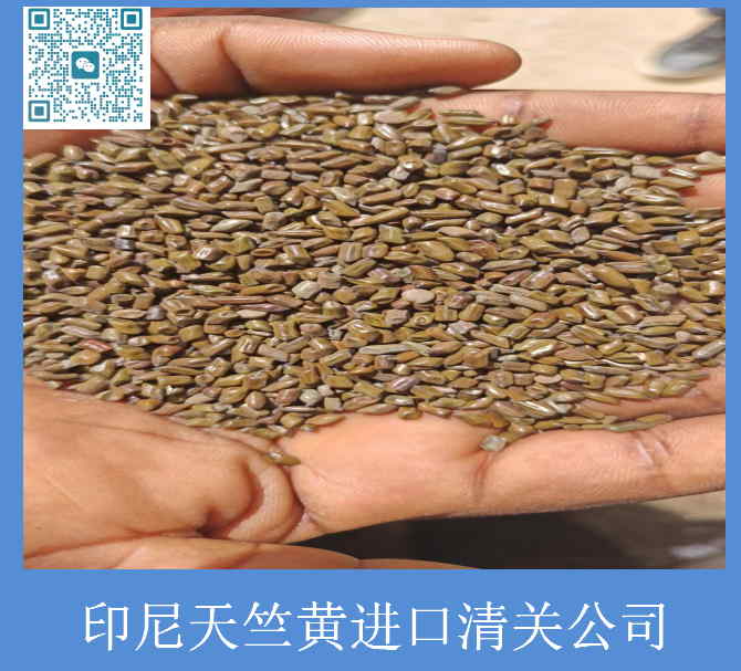 決明子進口清關(guān).jpg