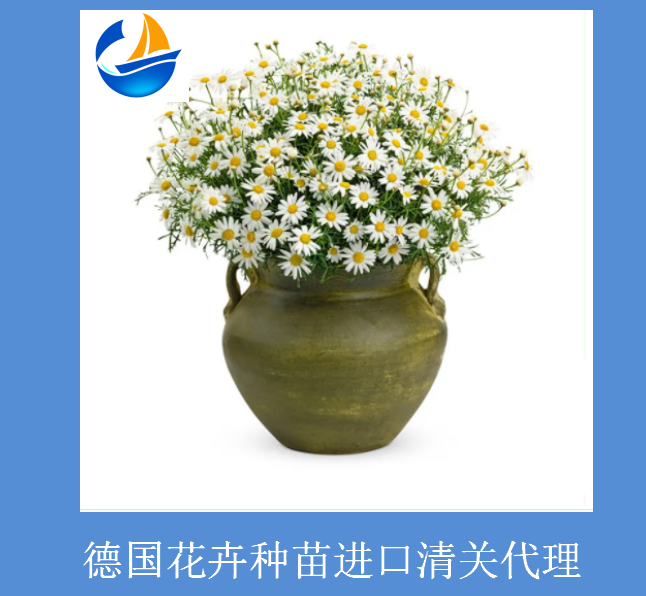 德國花卉進口清關(guān)1.png