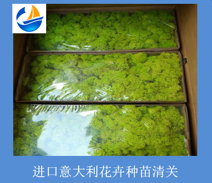進口意大利花卉種苗清關(guān).png