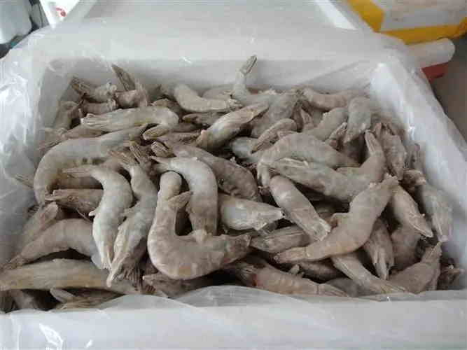 泰國(guó)凍蝦進(jìn)口清關(guān).jpg